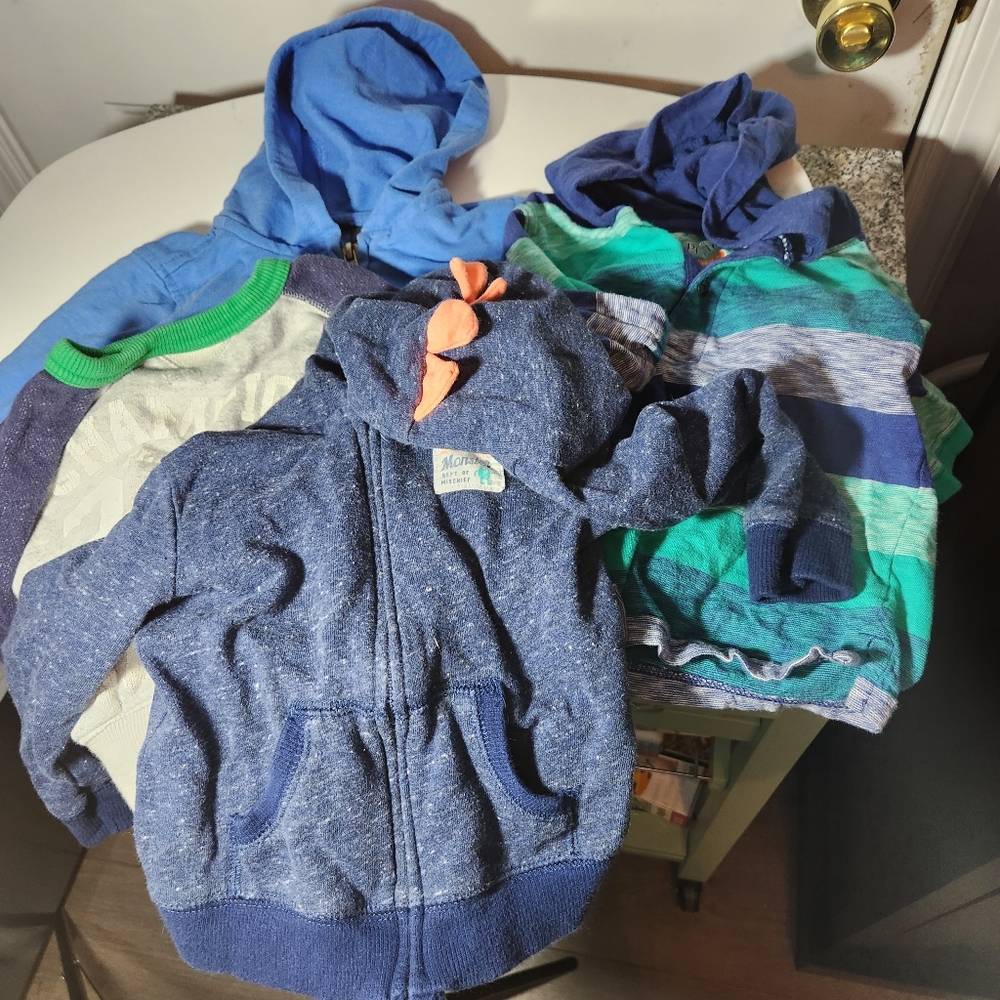 Lot of 4 Sweatshirts & Hoodies 1 Calvin Klein Size 18 Months Dinosaur Monster